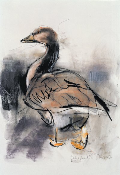 Spitalfields Goose by Mark Adlington